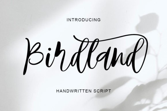 Birdland: A Sweet, Romantic Handwritten Font for Branding