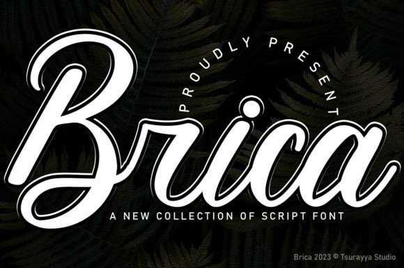 Brica Font: A Warm, Polished Script for Small Business Branding
