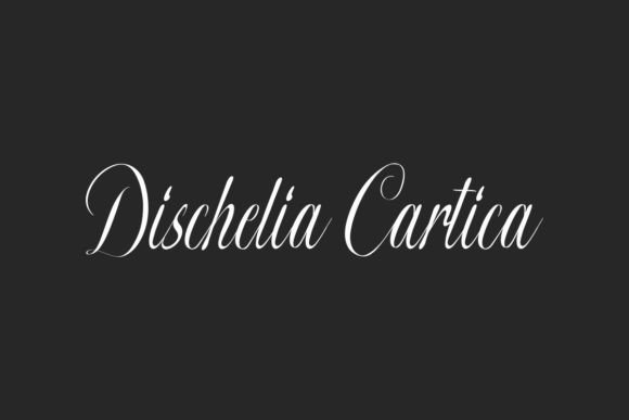 Dischelia Cartica: A Script Font for Romantic Branding