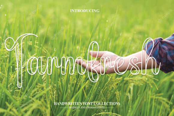Farmfresh Font: A Sweet, Friendly Outline Script for Real Branding