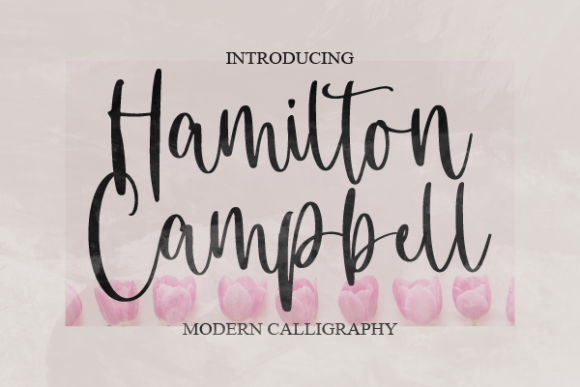 Hamilton Campbell: A Premium Script Font That Elevates Your Brand