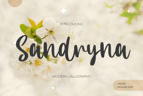 Sandryna: A Handwritten Font That Feels Like Your Brand’s First True Signature